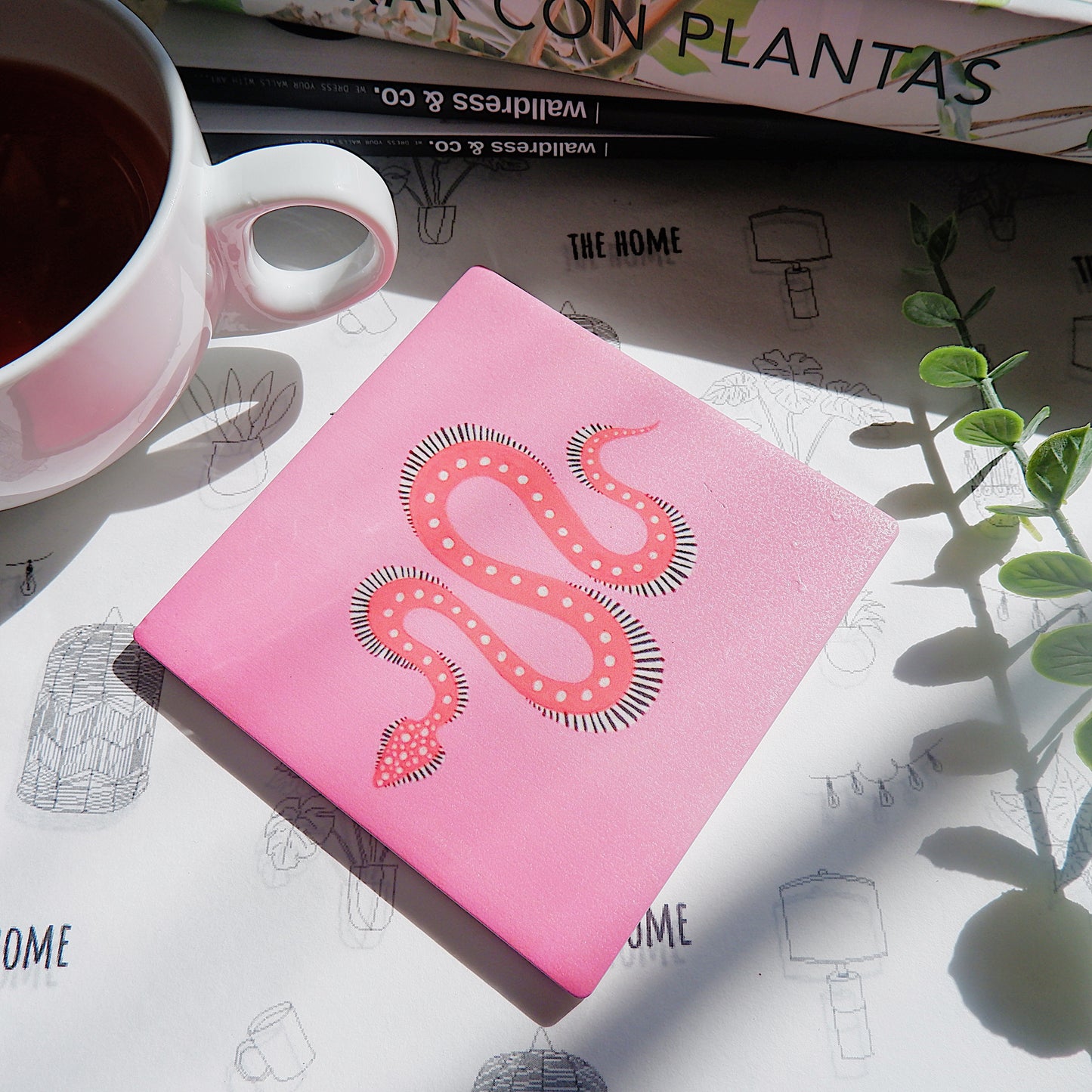 Set de 4 posavasos Serpiente