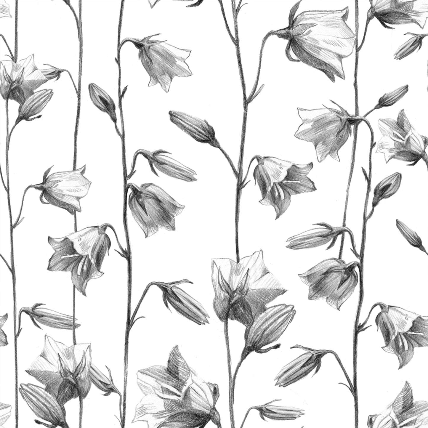 Papel Mural- Floral 26