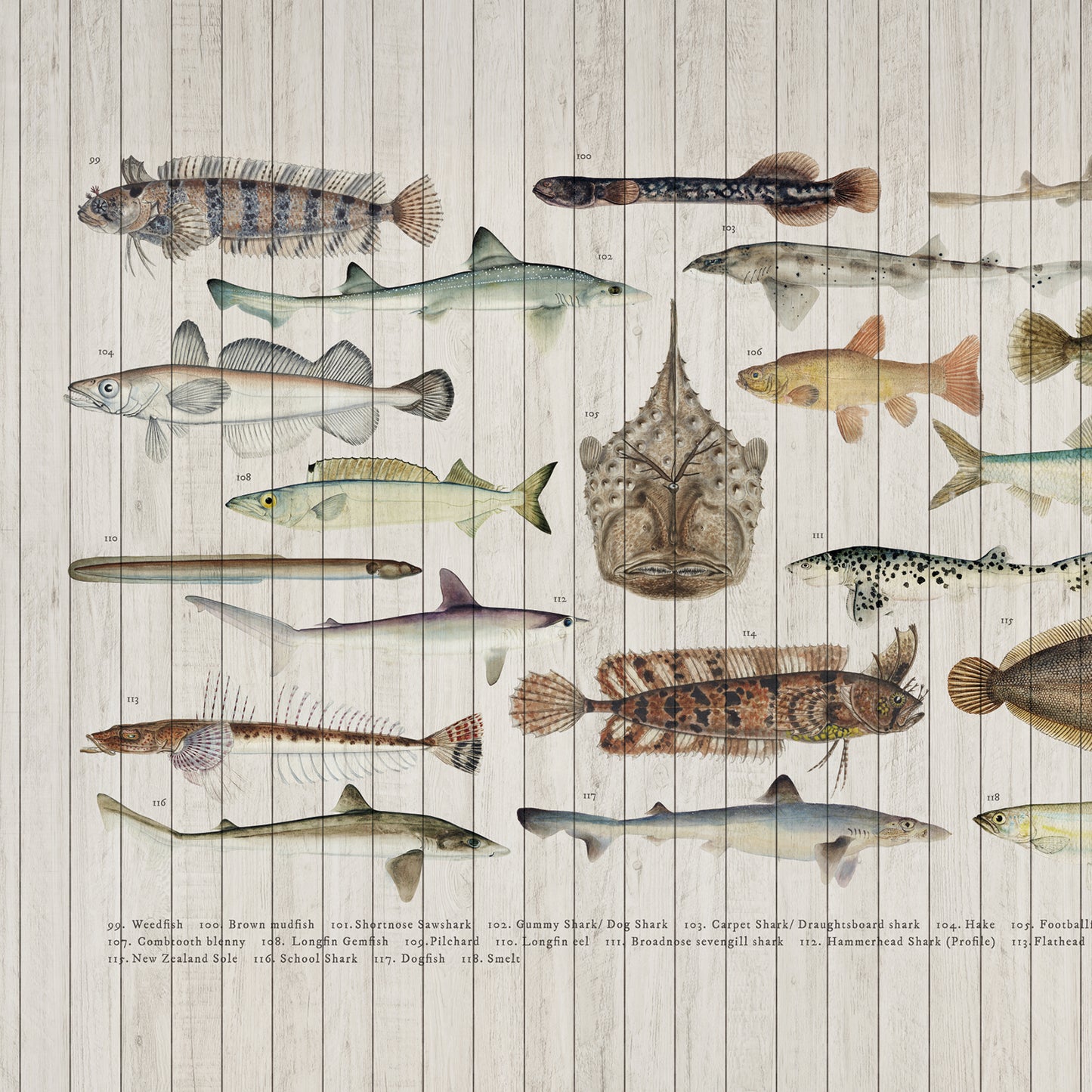 Papel Mural- Nature 39